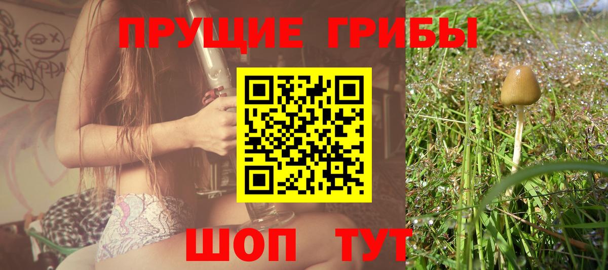 Псилоцибиновые грибы Cubensis  Вход с VPN  Искитим 